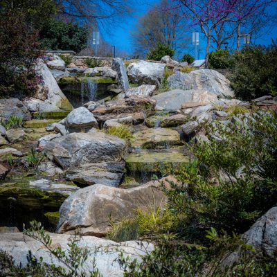 Cancer Park - Greenville, SC